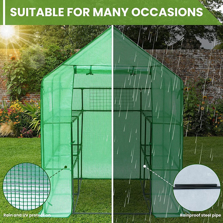 57x57x76 PE Walk-In Greenhouse (5)