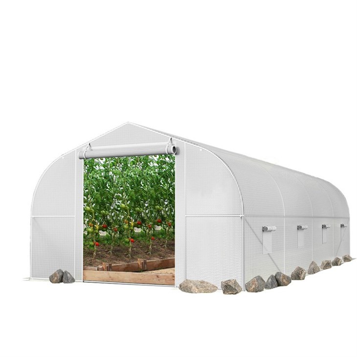 Sloped Top High Tunnel Greenhouse For Sale