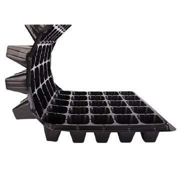Seed Tray